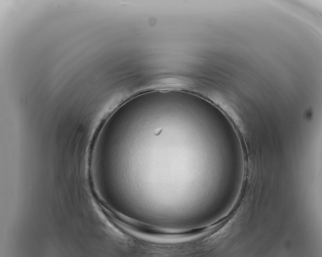 X0000090771477200707271517