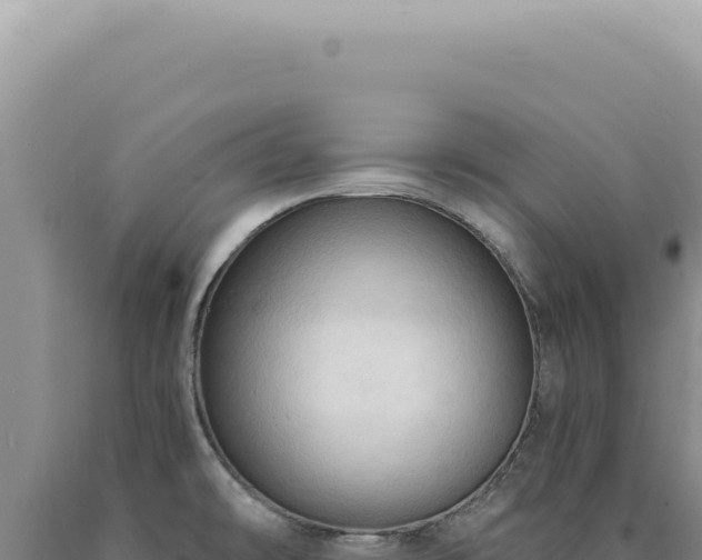 X0000090771478200707271517