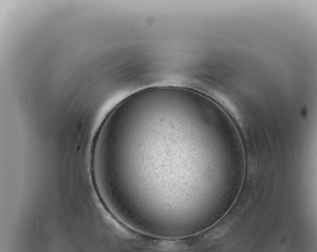 X0000090771480200707271517