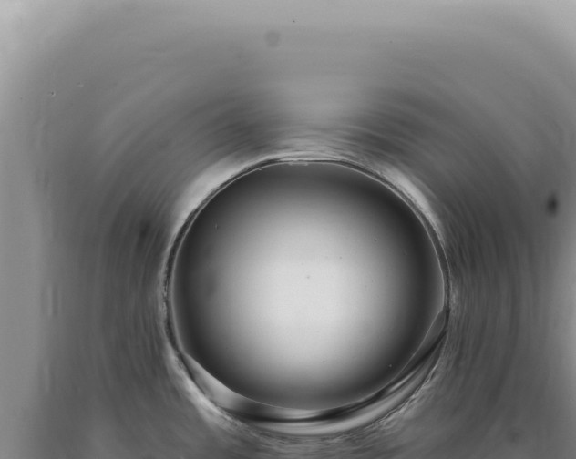 X0000090771485200707271516