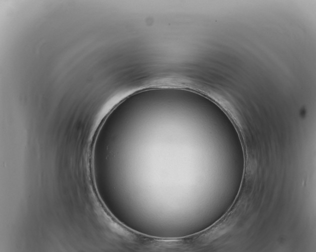 X0000090771486200707271516