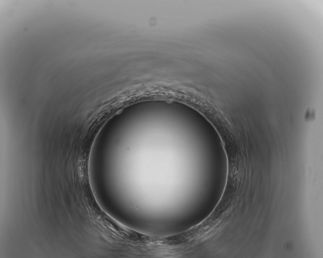 X0000090771490200707271516