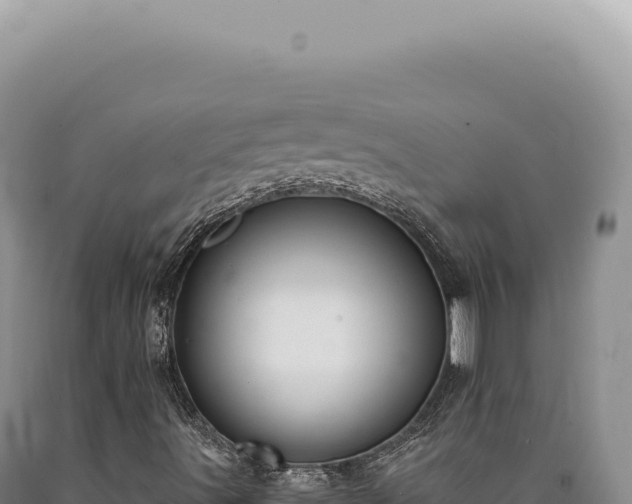 X0000090771491200707271516
