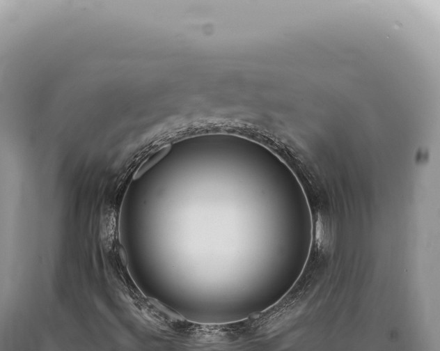 X0000090771492200707271516