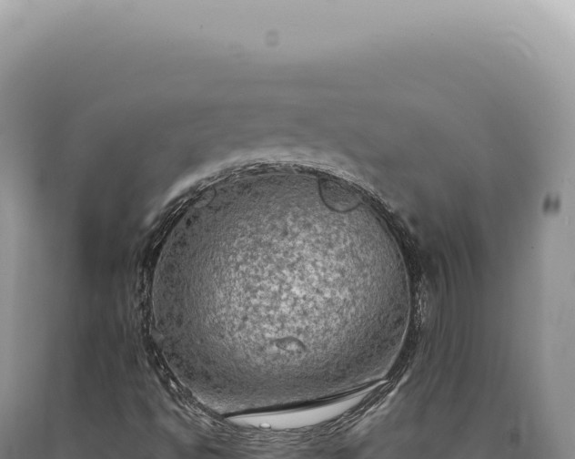 X0000090771494200707271516