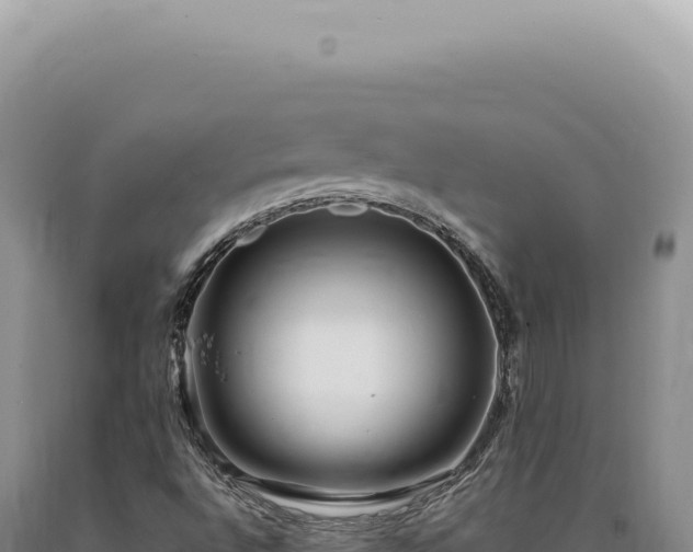 X0000090771496200707271516