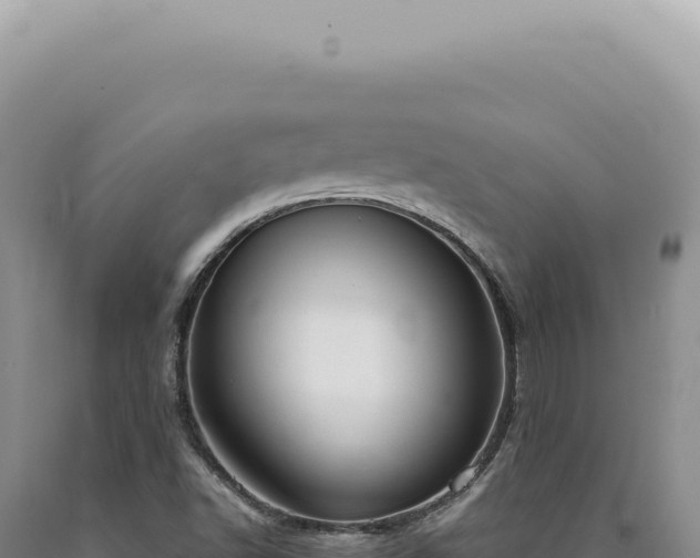 X0000090771502200707271516