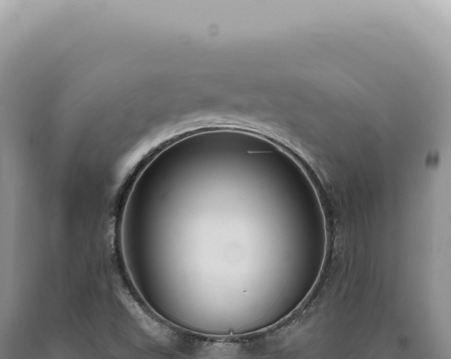 X0000090771503200707271516