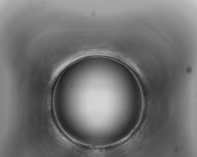 X0000090771504200707271516