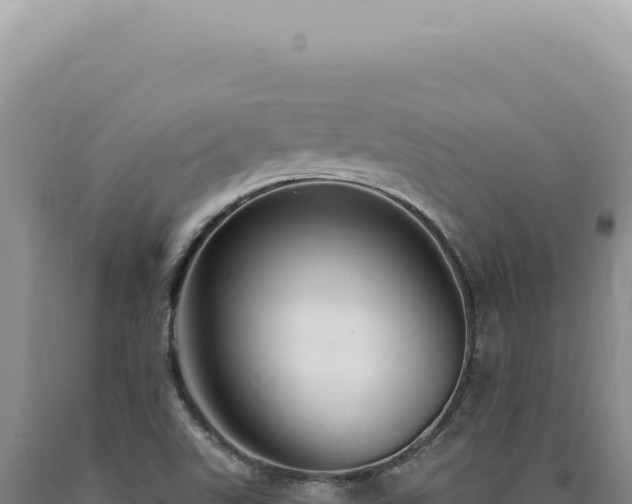 X0000090771507200707271516