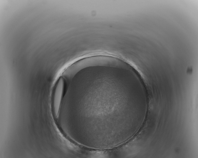 X0000090771508200707271516