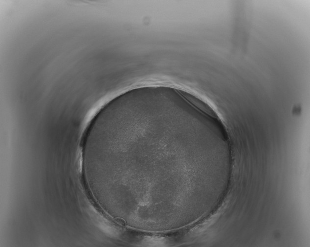 X0000090771509200707271516