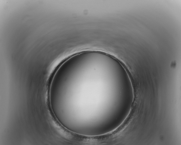 X0000090771511200707271516