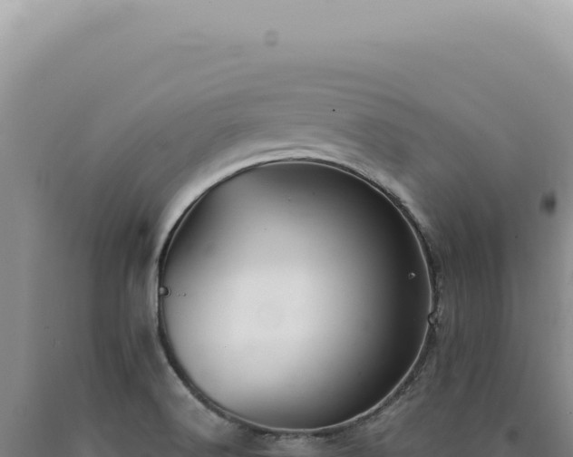 X0000090771516200707271516
