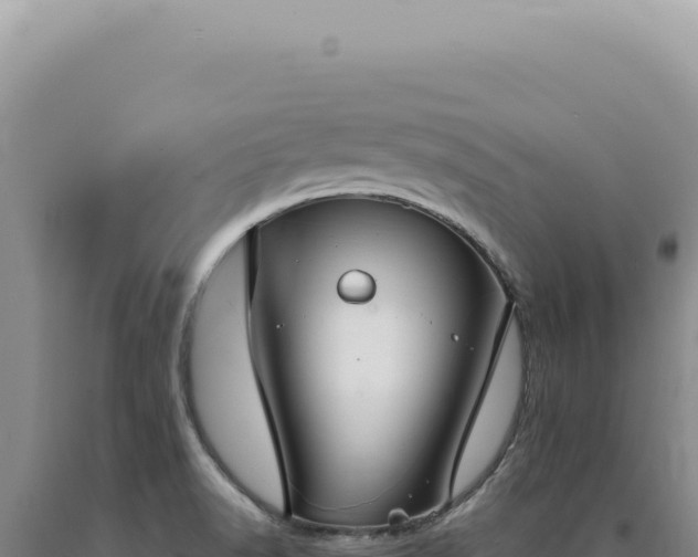X0000090771518200707271516