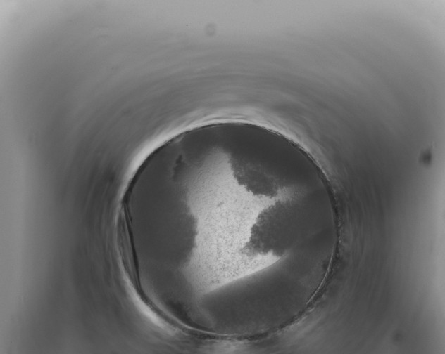 X0000090771519200707271516