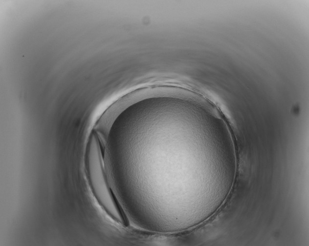 X0000090771520200707271516