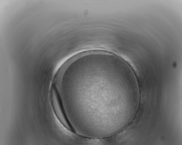 X0000090771524200707271516