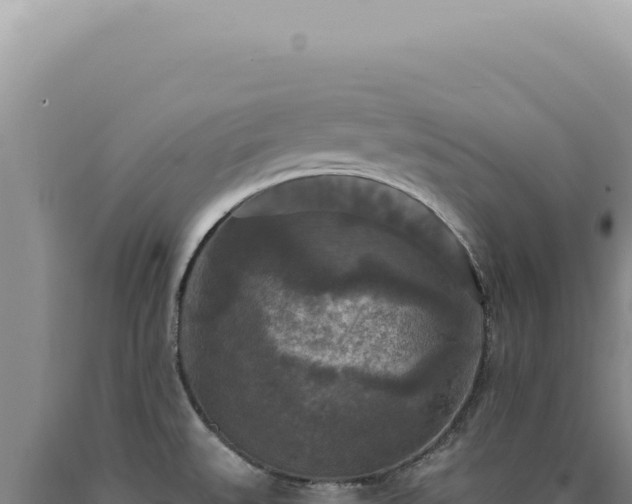 X0000090771527200707271516