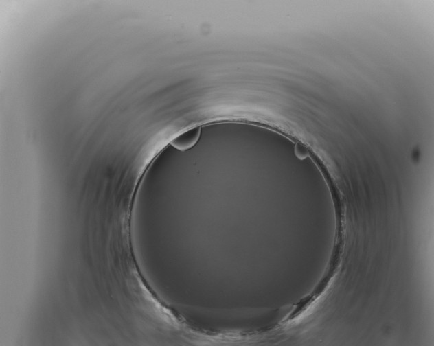 X0000090771529200707271516