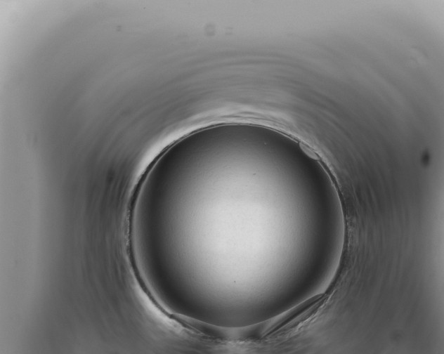 X0000090771531200707271516