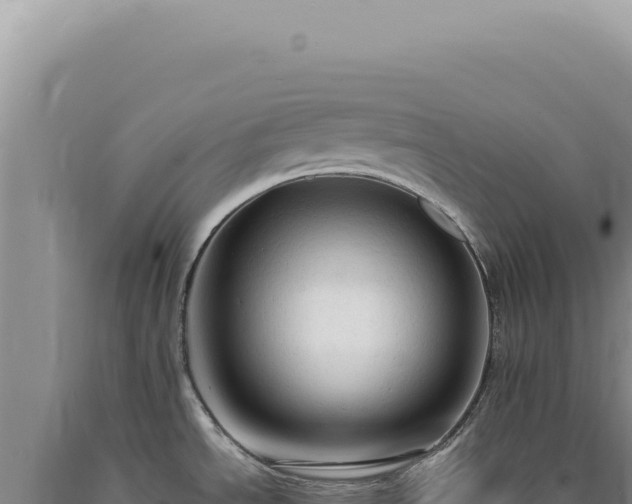 X0000090771534200707271516