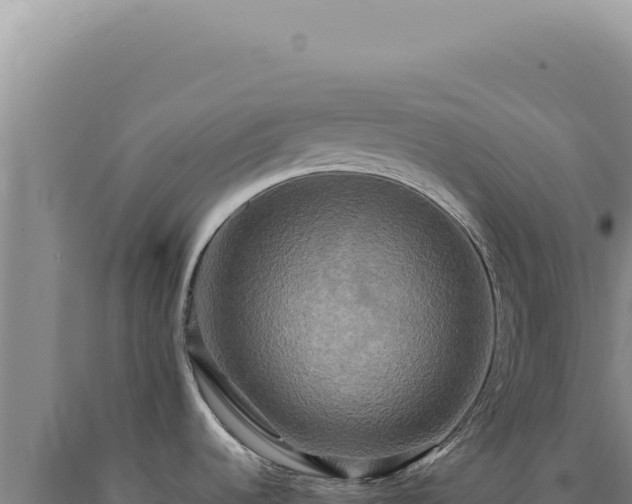X0000090771536200707271516