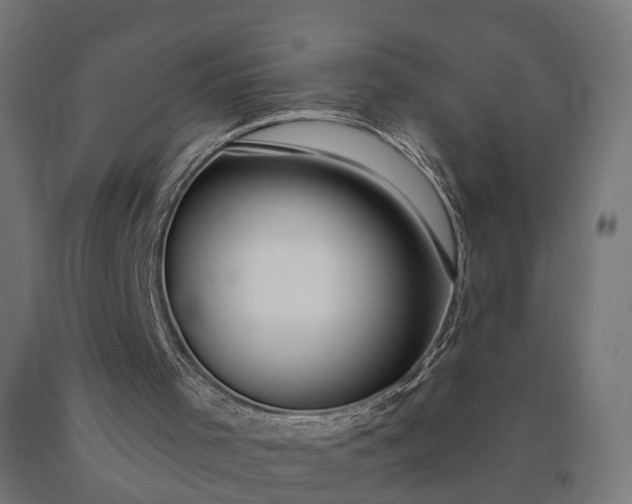X0000090770001200708031703