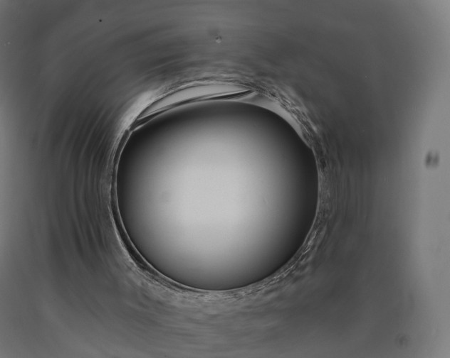 X0000090770003200708031703
