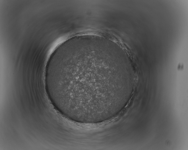 X0000090770006200708031703