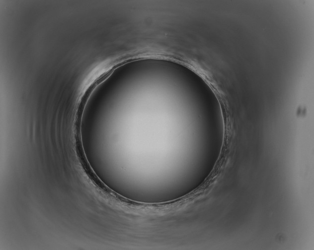 X0000090770007200708031703
