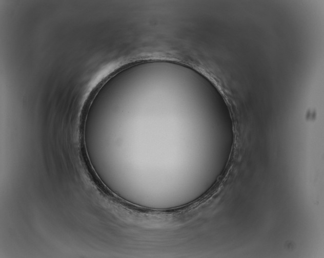 X0000090770008200708031703