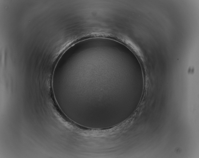 X0000090770009200708031703