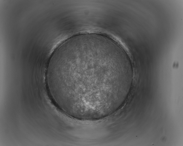 X0000090770010200708031703