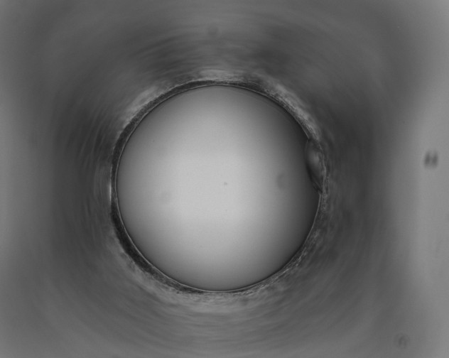 X0000090770011200708031703