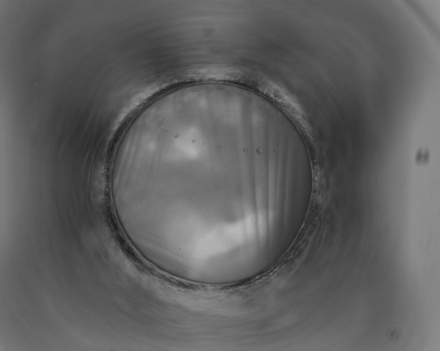 X0000090770012200708031703