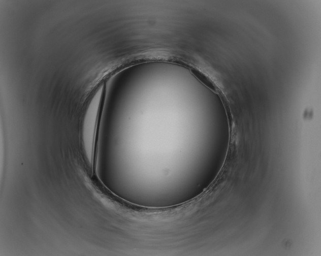 X0000090770013200708031703