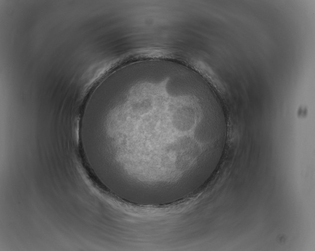 X0000090770014200708031703