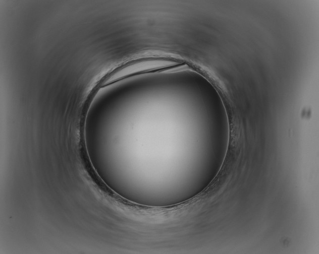 X0000090770015200708031703
