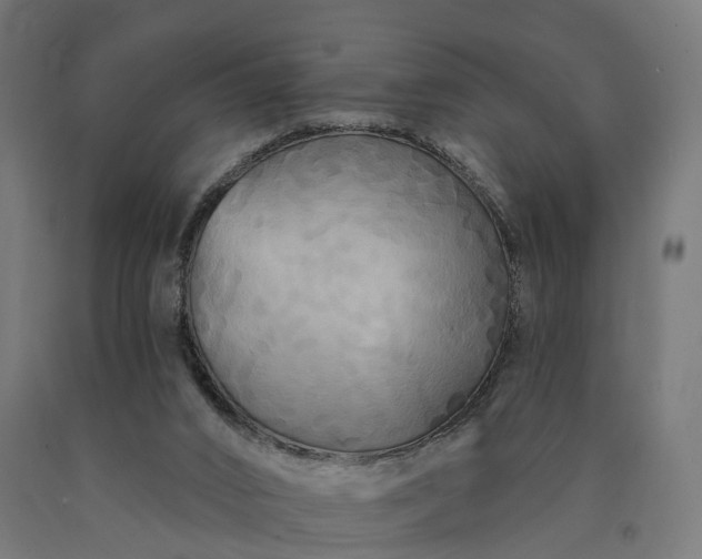 X0000090770016200708031703