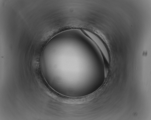 X0000090770017200708031703