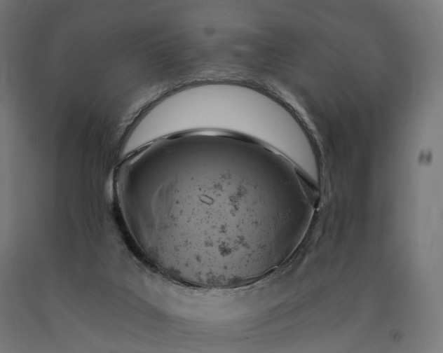 X0000090770019200708031703