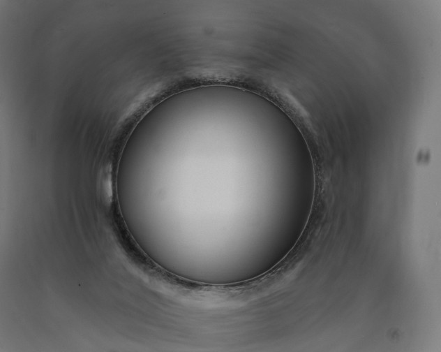 X0000090770020200708031703