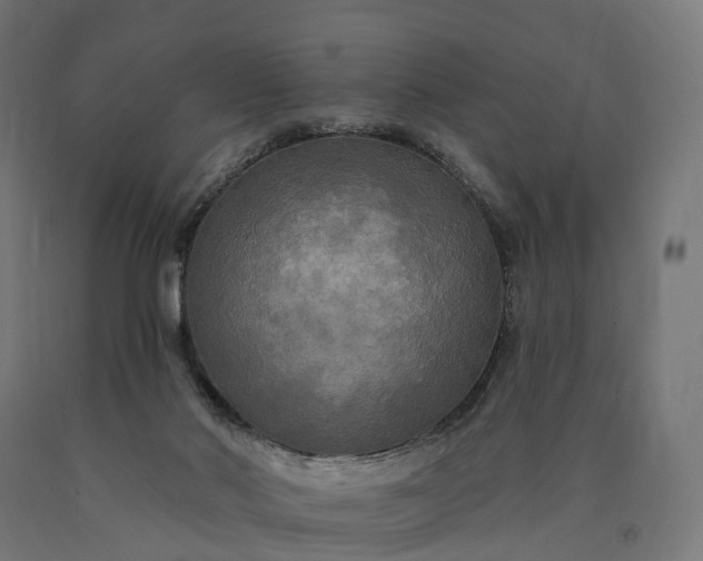 X0000090770022200708031703