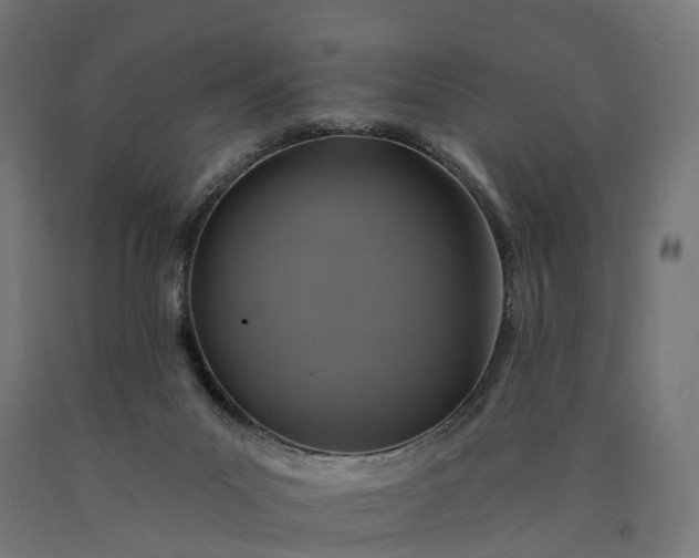X0000090770023200708031703