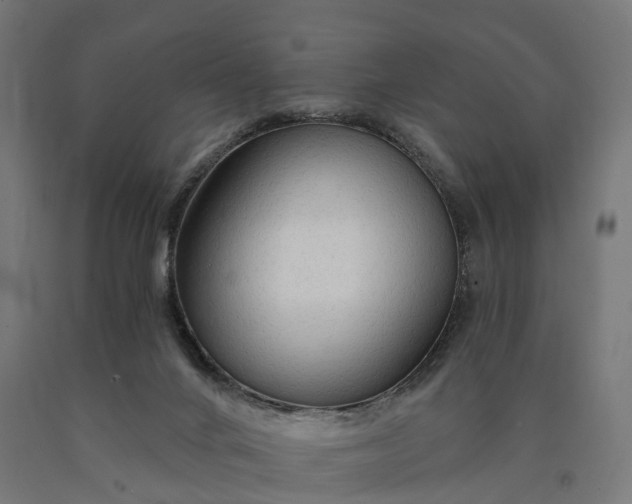 X0000090770024200708031703