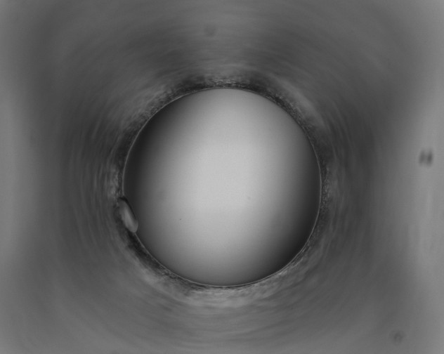 X0000090770025200708031703