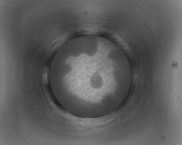 X0000090770026200708031703