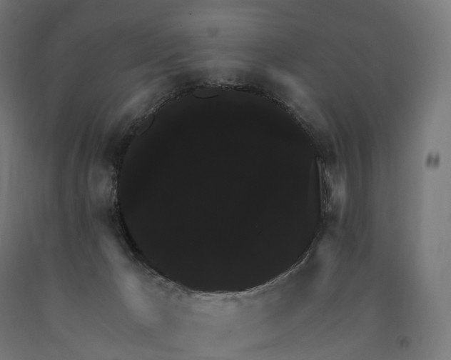 X0000090770029200708031702