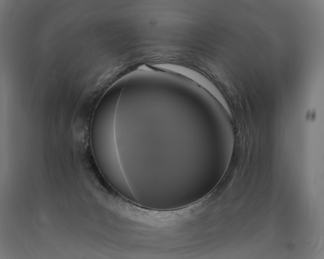 X0000090770031200708031702